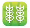 Icoon Mijn Graan