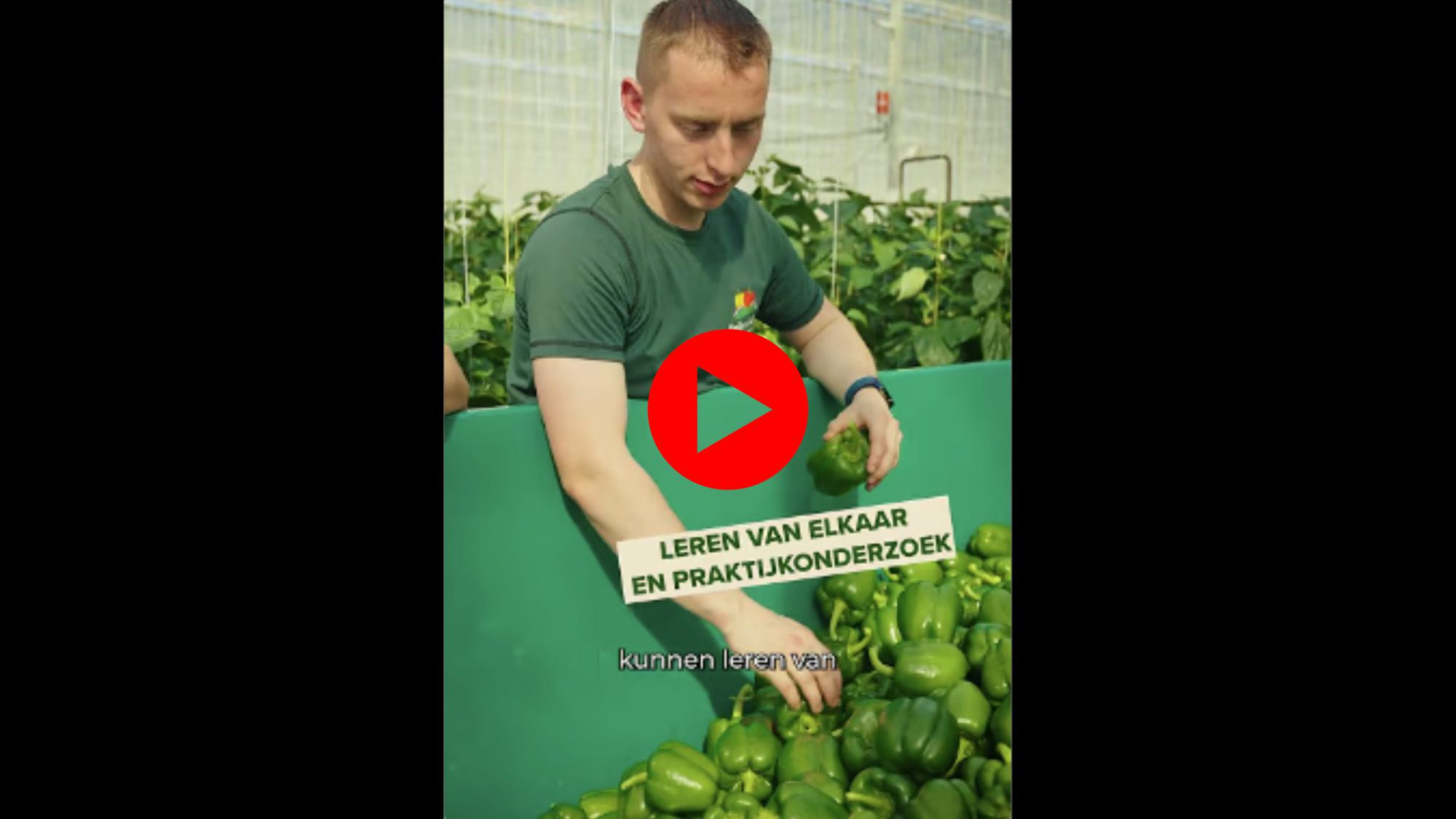 Afbeelding 100% Groen Geteeld