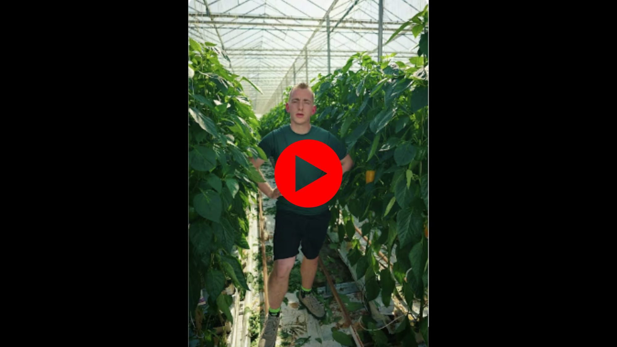 Afbeelding 100% Groen Geteeld