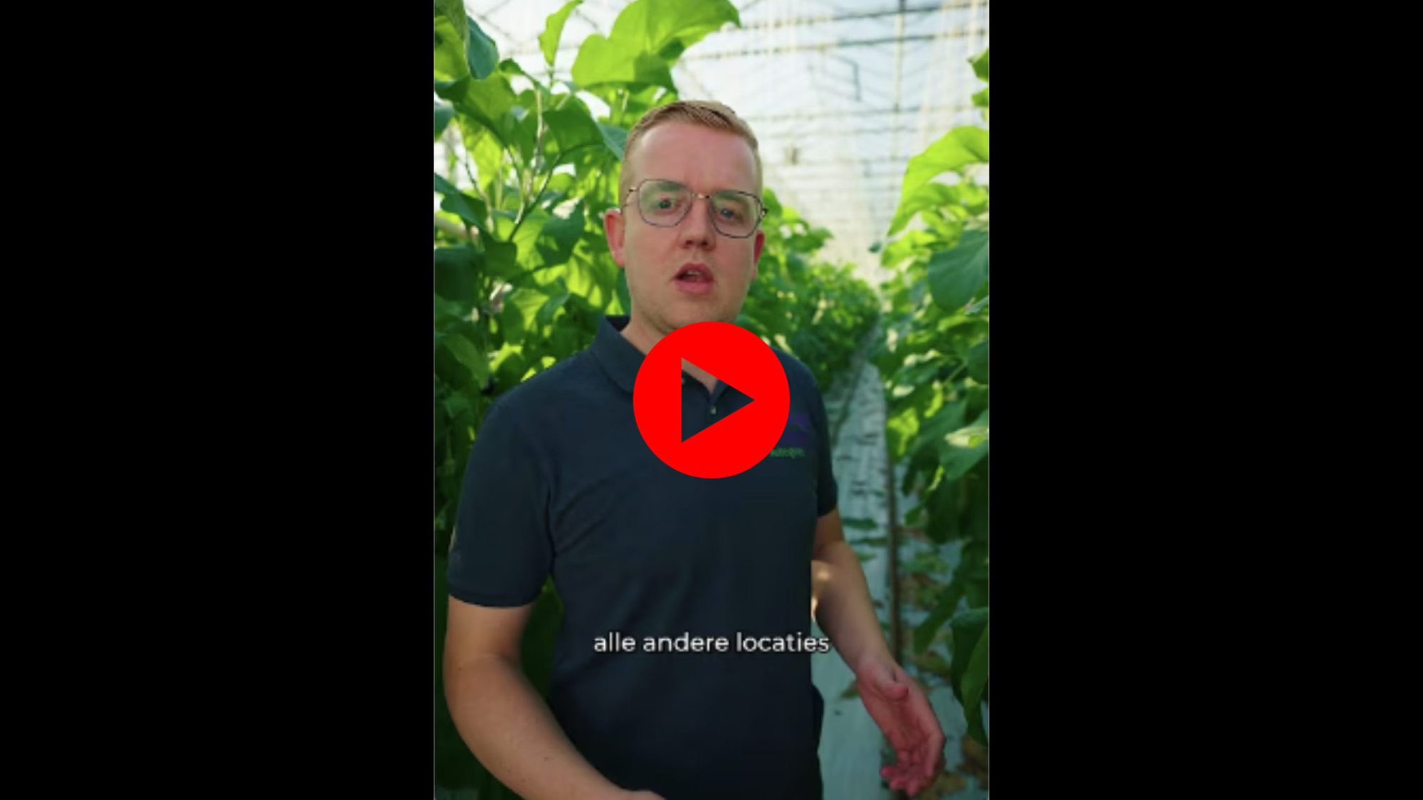 Afbeelding 100% Groen Geteeld