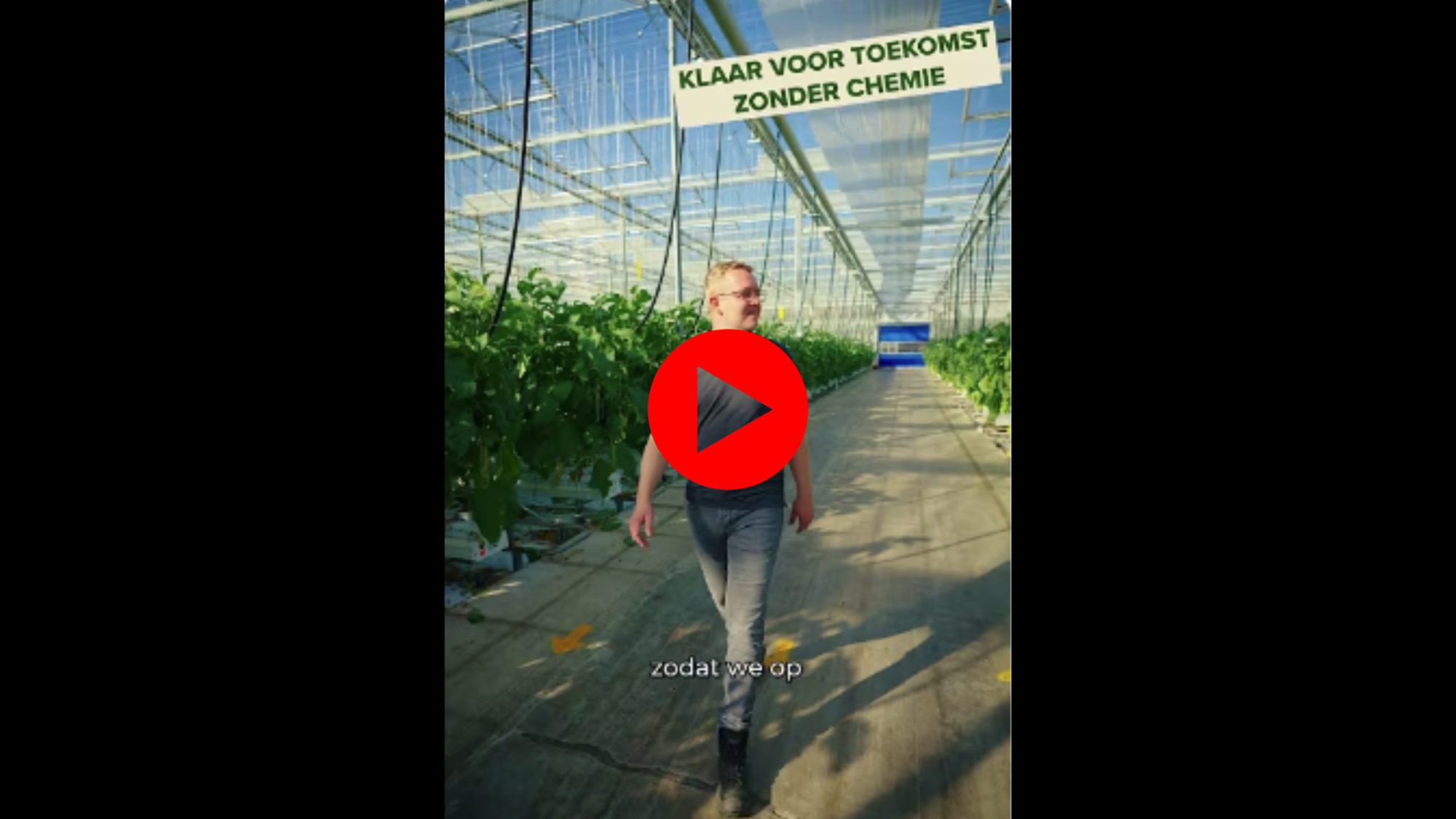 Afbeelding 100% Groen Geteeld