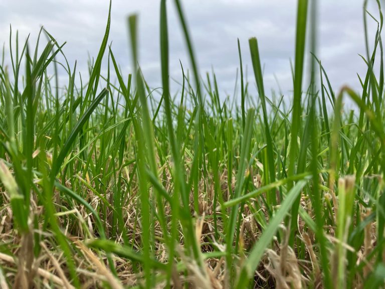 Afbeelding De kracht van het moment