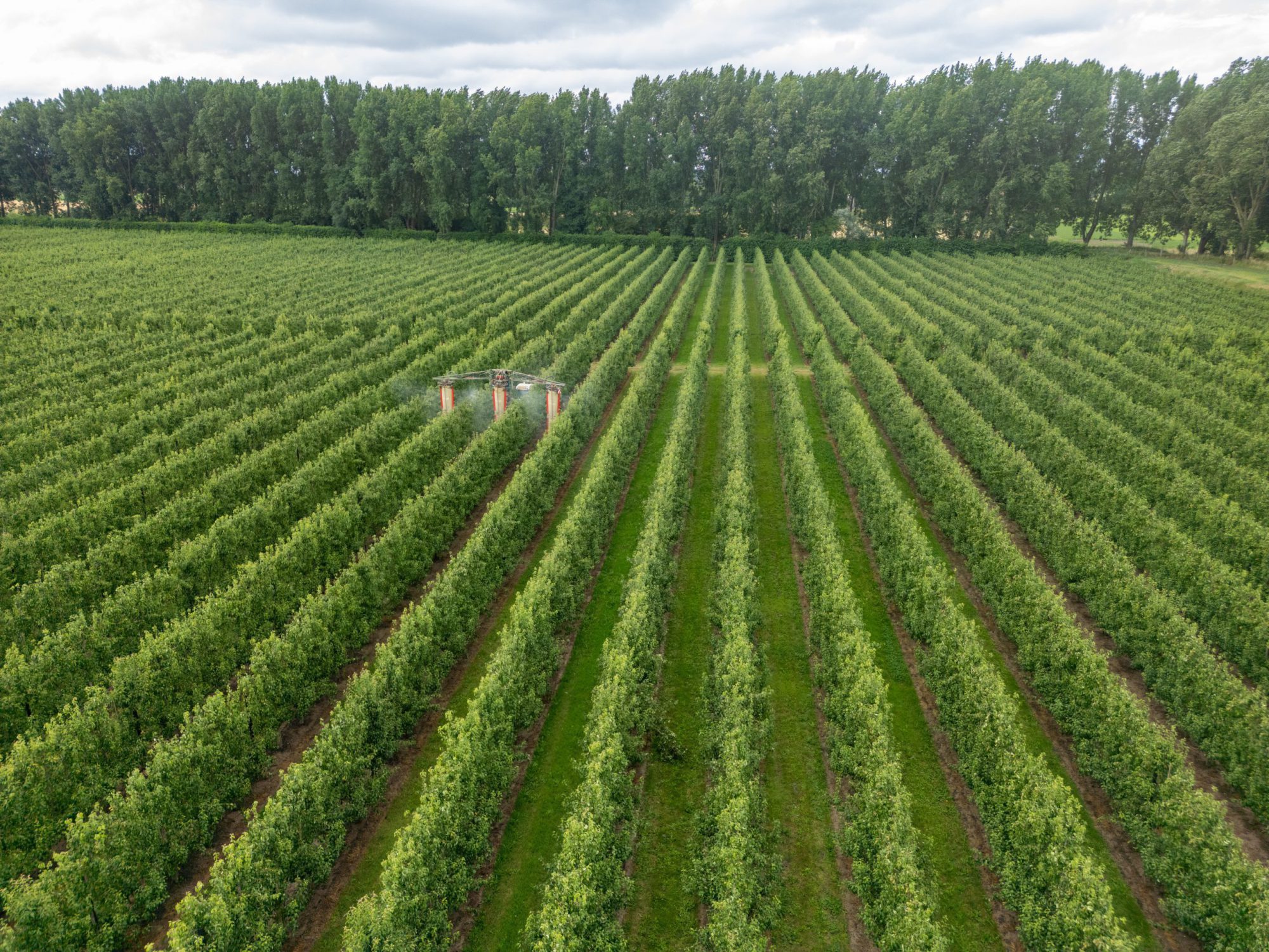 Afbeelding Uitstel verplichting gesloten vulsysteem tot na 1 januari 2027