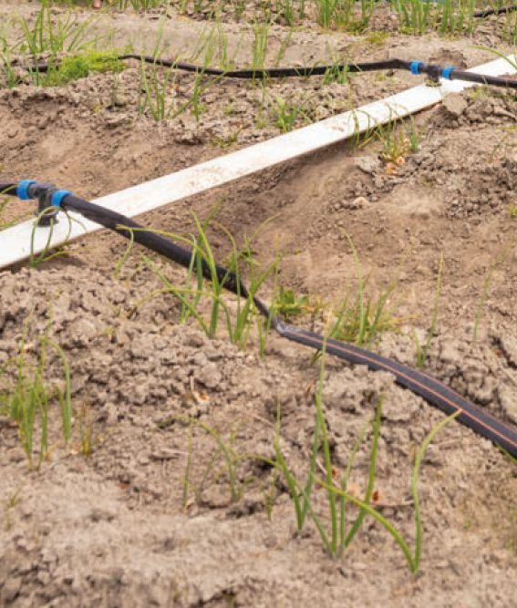 Afbeelding ViP | Boeren in een gebied met uitdagingen én kansen