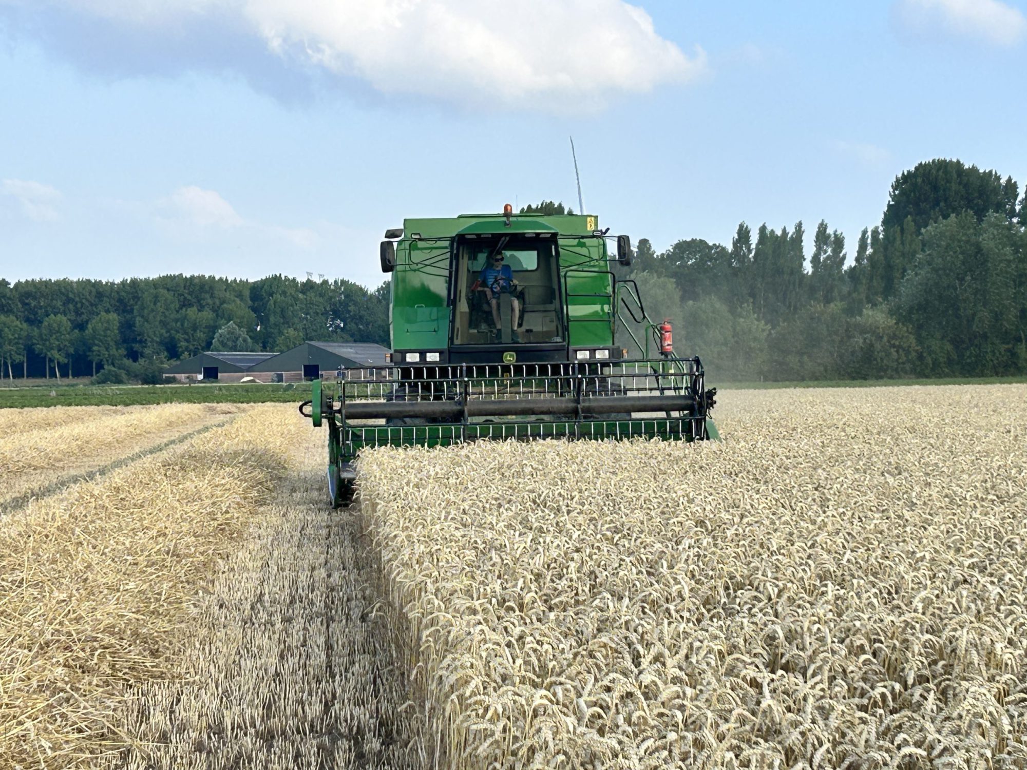 Afbeelding Rassenadvies wintergranen | maak uw keuze voor komend seizoen