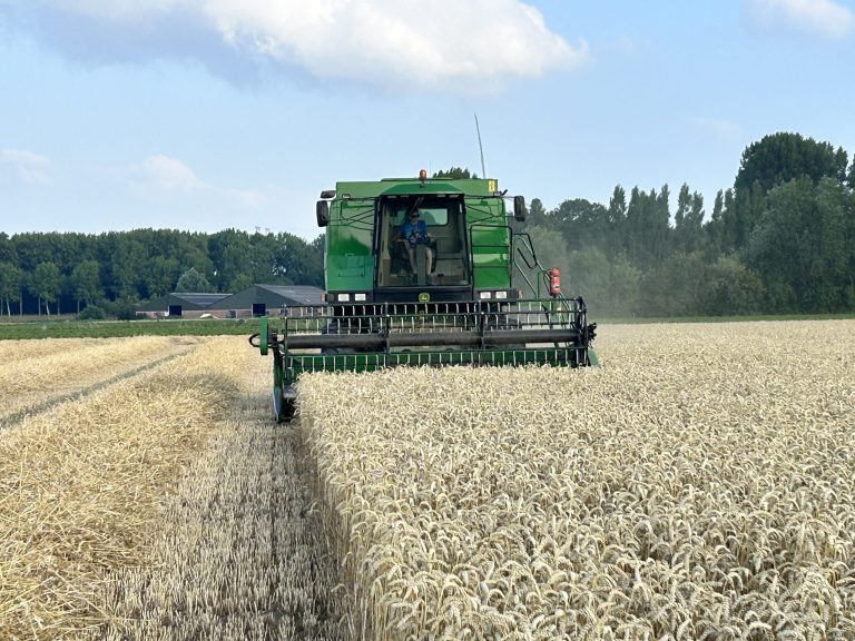Afbeelding Rassenadvies wintergranen | maak uw keuze voor komend seizoen