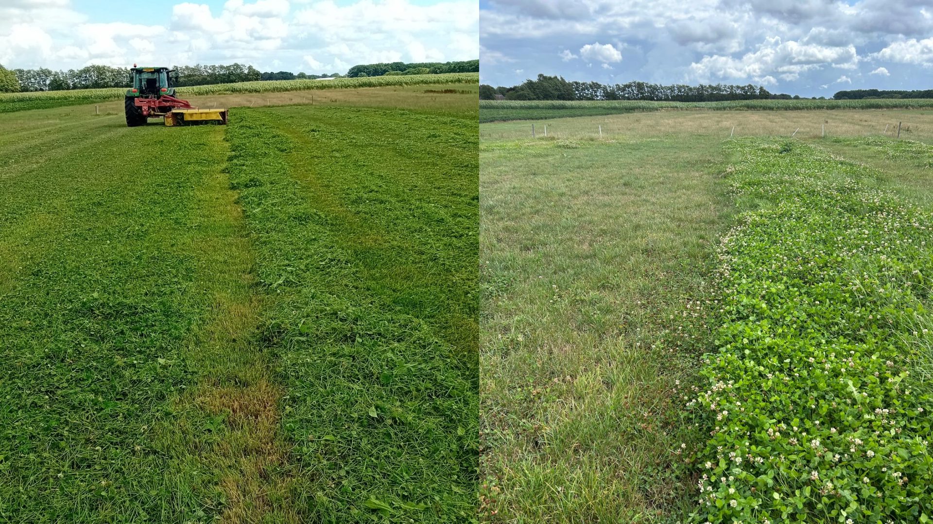 Afbeelding Fertigatie in grasland | Meer dan water