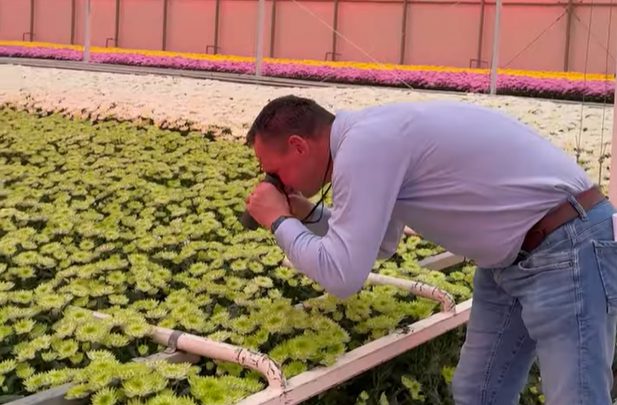 Afbeelding Video | Saliboost expeditie