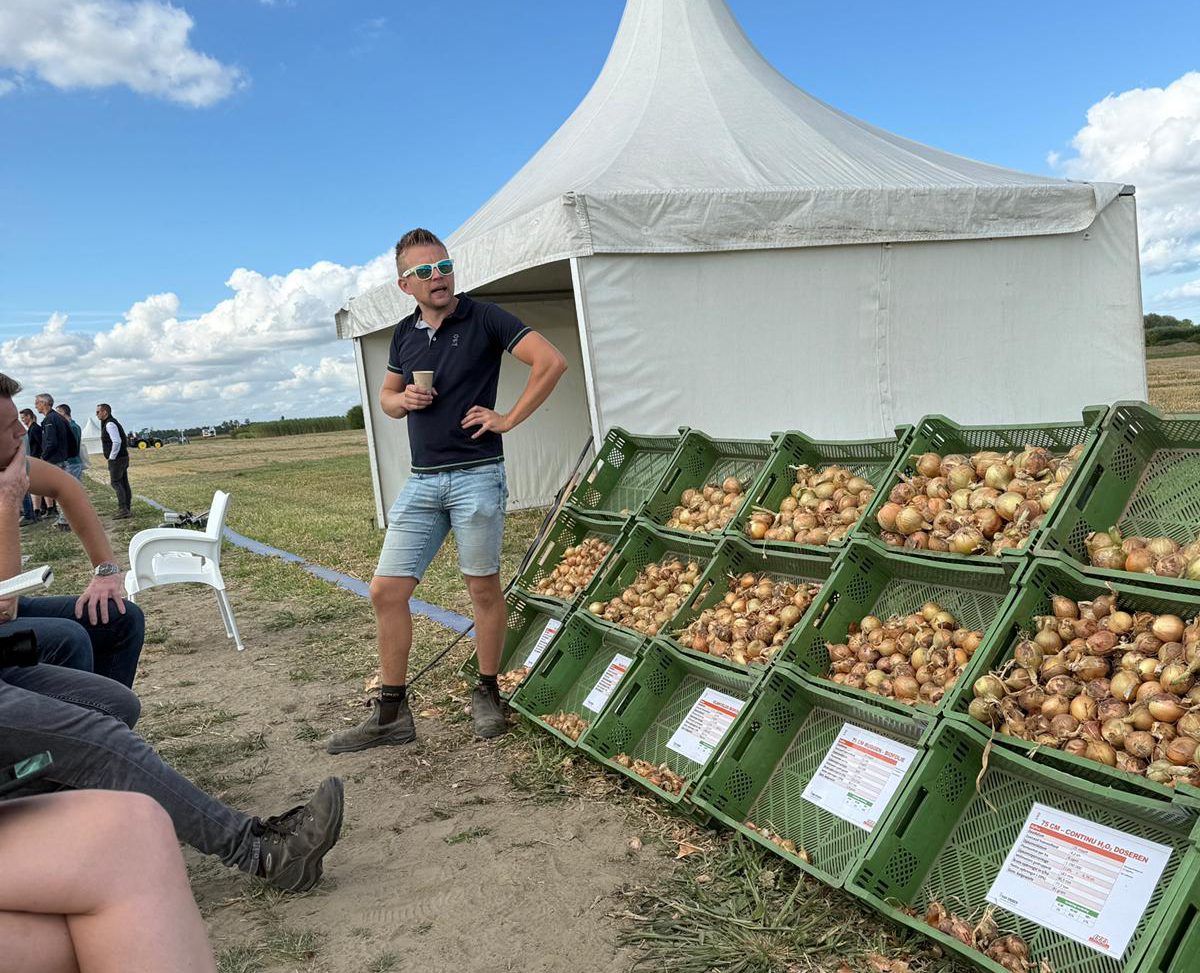 Afbeelding ‘Meeropbrengst in uien realiseer je met meer wortelmassa’