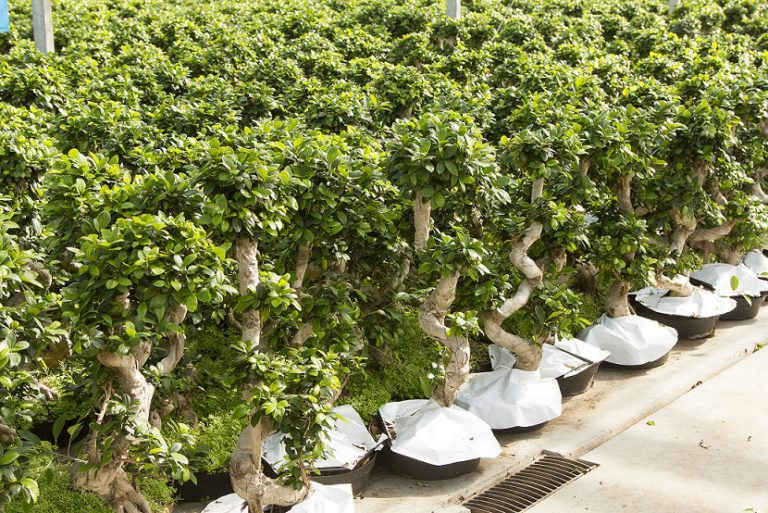 Afbeelding Spuitlicentiebijeenkomst Tuinbouw | Veiligheid en Techniek | Groningen