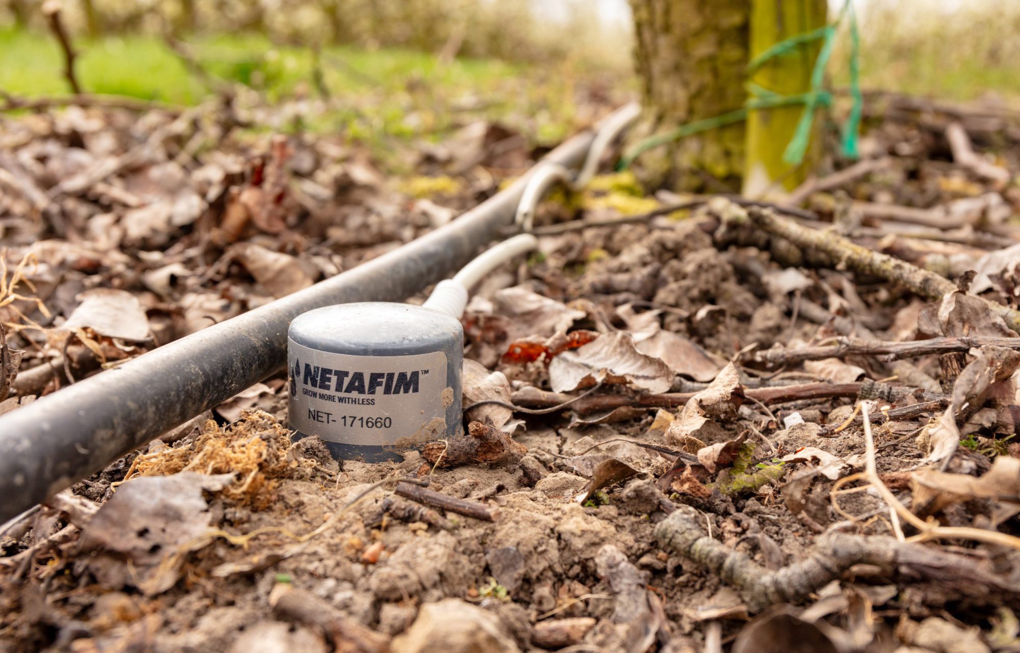 Afbeelding ViP | Hoe bodemsensoren de boomgaard verduurzamen