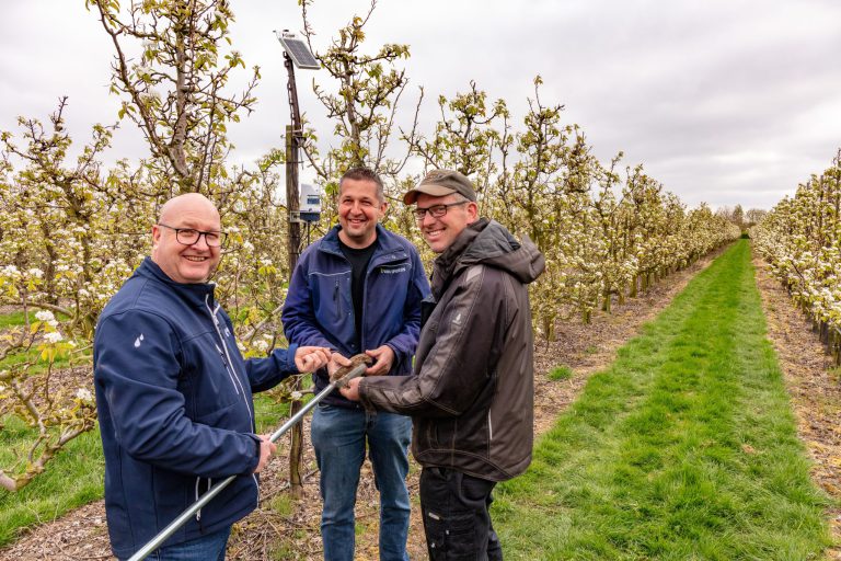 Afbeelding Datagedreven fertigatie