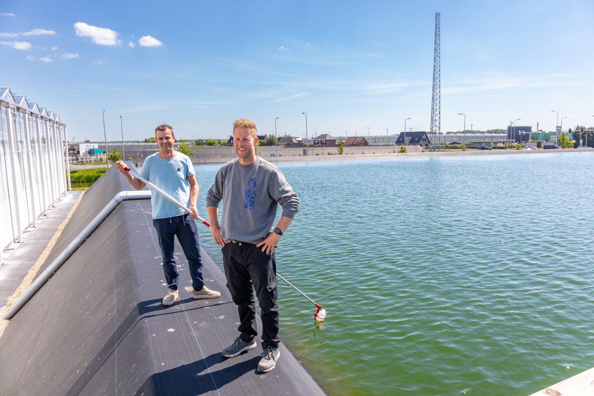 Afbeelding ViP | Tomatenteelt vraagt om zuiver water