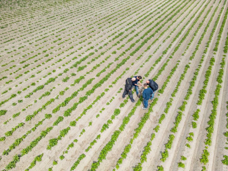 Afbeelding ViP | Boeren in een gebied met uitdagingen én kansen