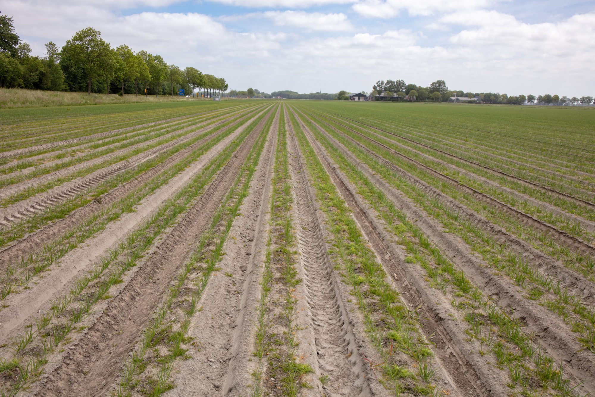 Afbeelding ViP | Boeren in een gebied met uitdagingen én kansen