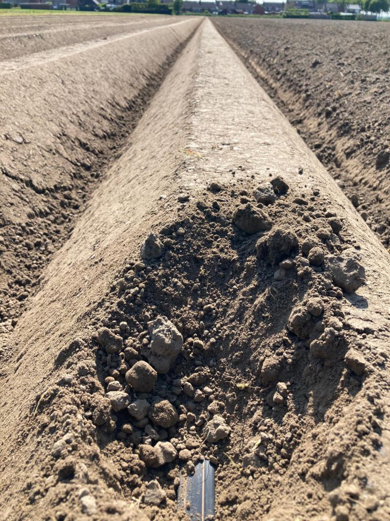 Afbeelding Ervaring met fertigatie in pootaardappelen