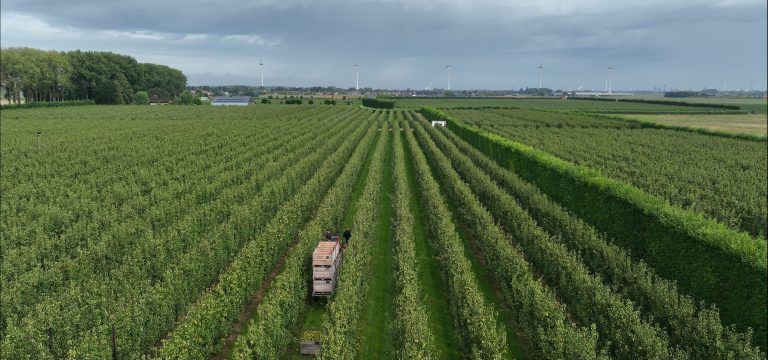 Afbeelding Plukvideo 2025