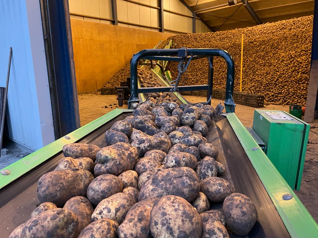 Afbeelding Aardappelbewaring