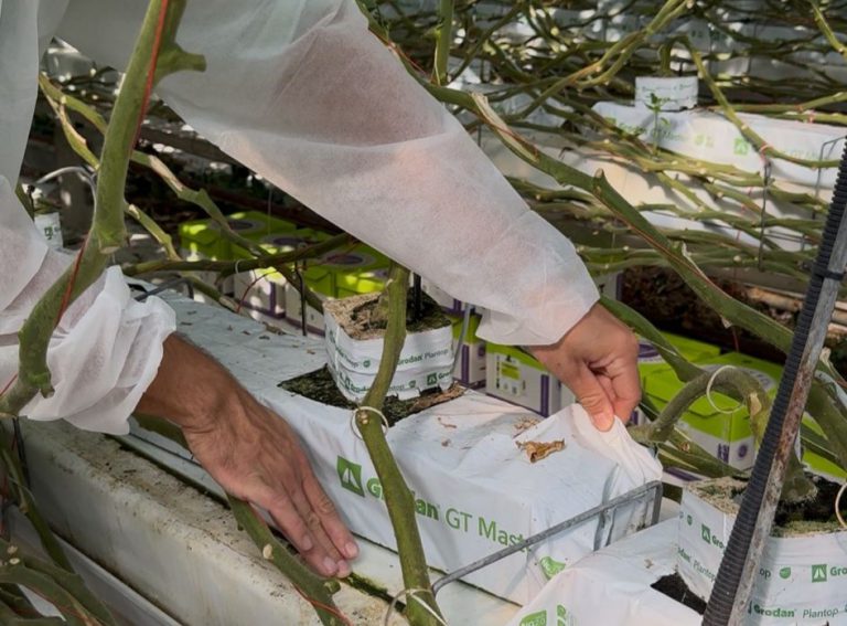 Afbeelding Gelezen in Onder Glas | specialist over het hygiëneprotocol