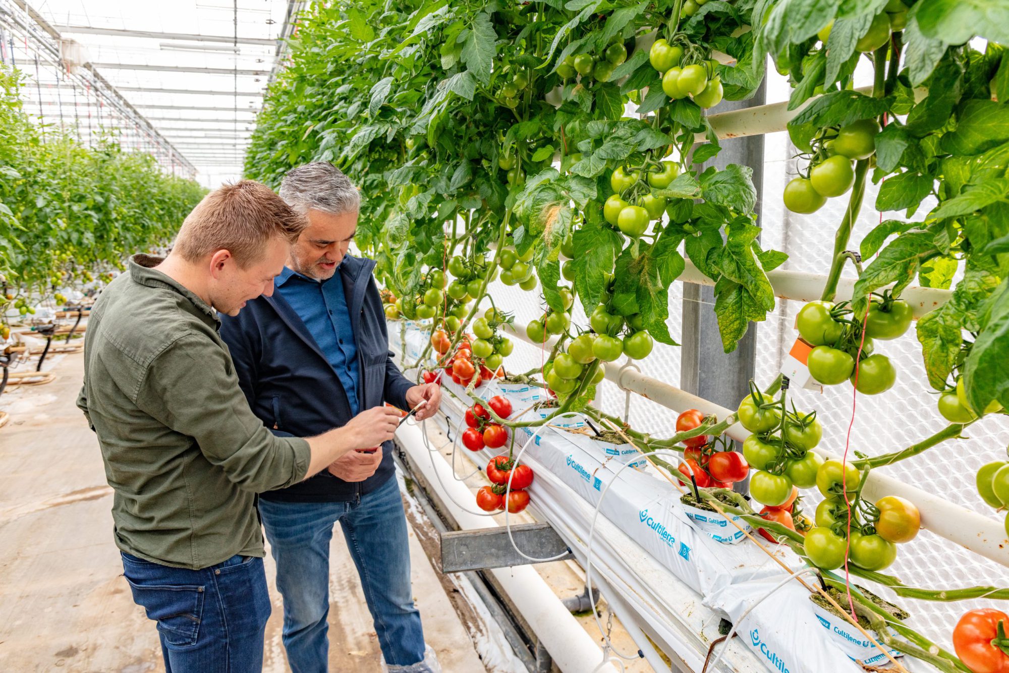 Afbeelding ViP | Van pionieren naar precisie