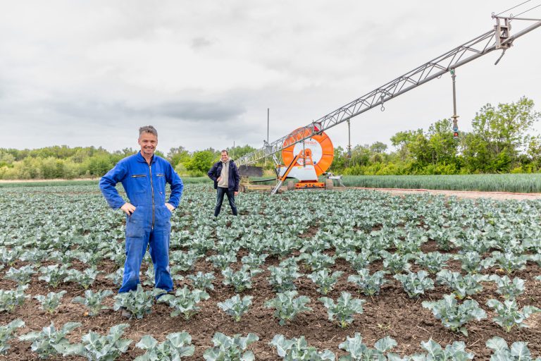 Afbeelding ViP | Vooruitstrevend waterbeheer en bodemzorg in Westkapelle