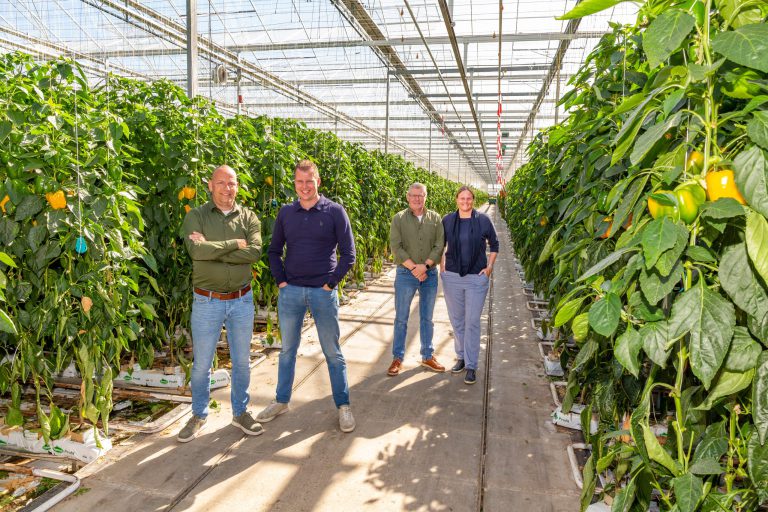 Afbeelding ViP | Service op de vierkante meter