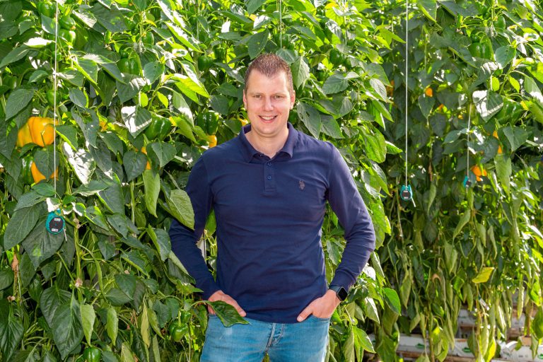 Afbeelding ViP | Service op de vierkante meter