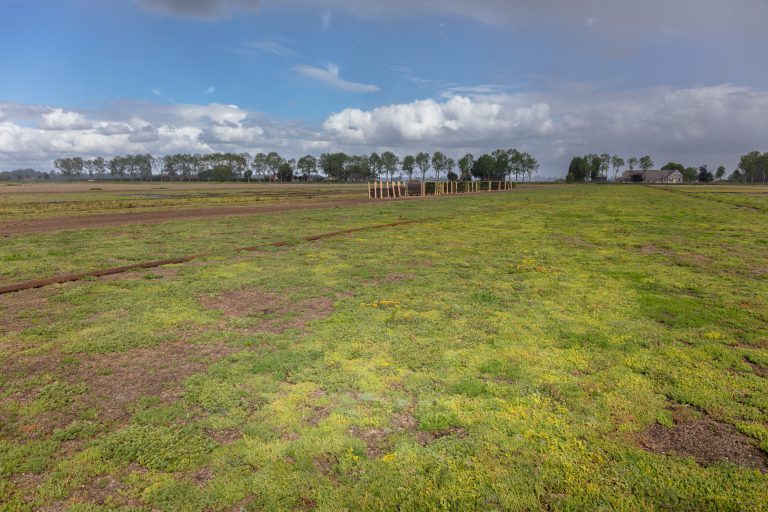 Afbeelding ViP | Van Sedumteler tot wereldspeler