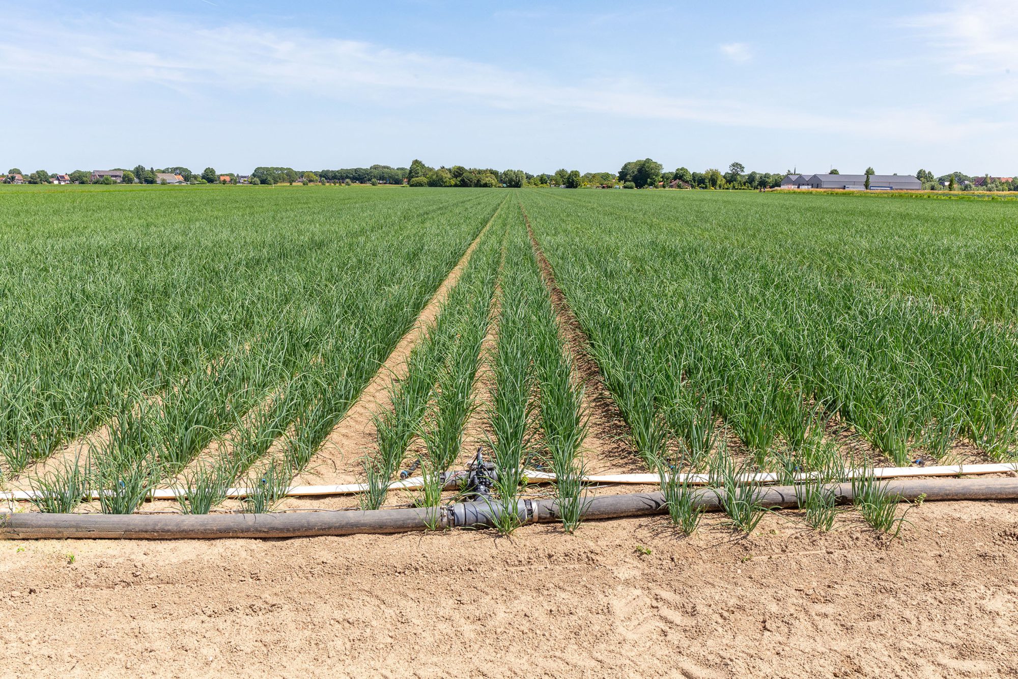 Afbeelding Fertigatiebeurs