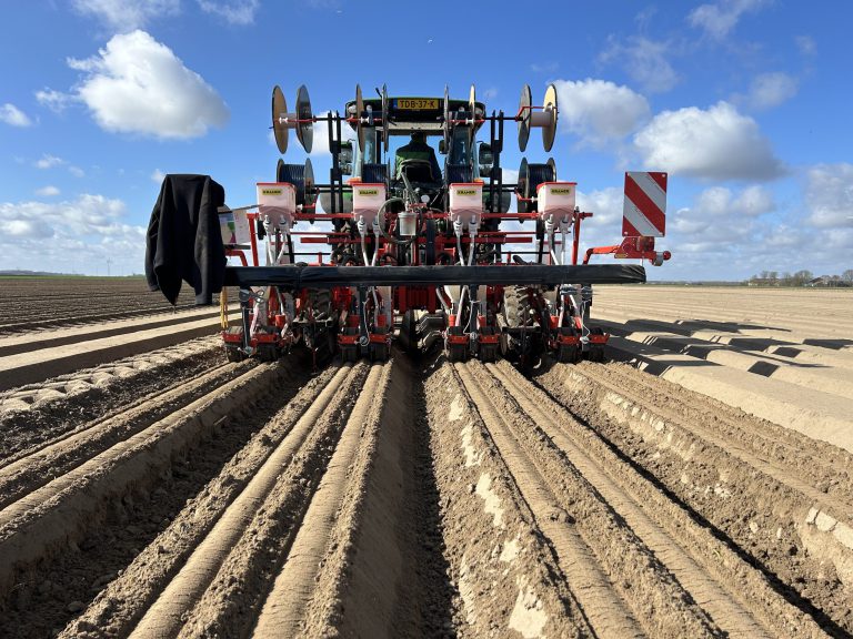 Afbeelding Rassenadvies zaaiuien | kies het juiste ras voor uw perceel