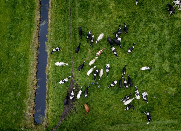 Afbeelding Aan de slag met fosfaat | vraag en antwoord