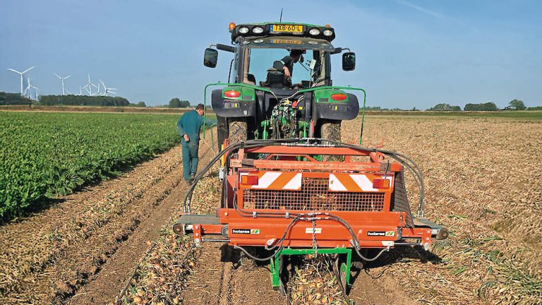 Afbeelding ‘Fertigatie in uien levert een duidelijke meeropbrengst op’