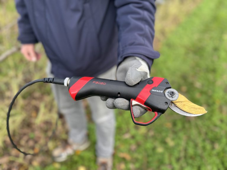 Afbeelding Video | Snoeien