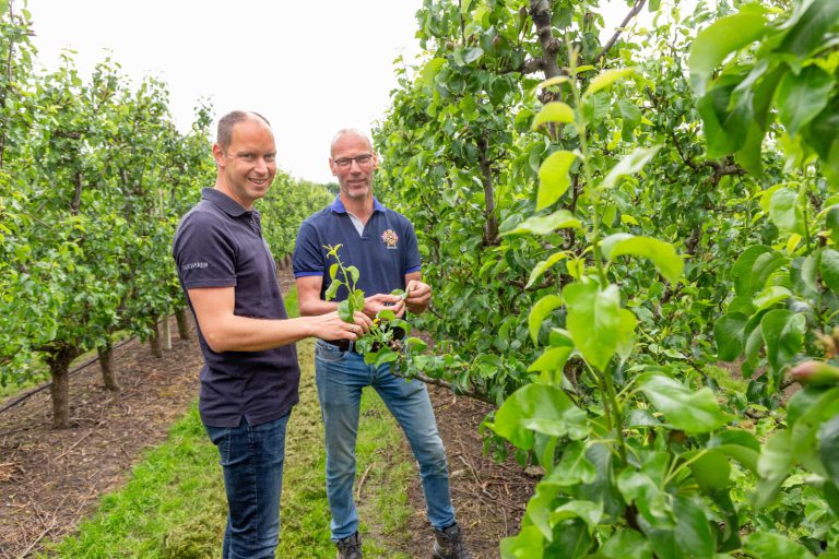 Afbeelding Fruitteeltvakbeurs