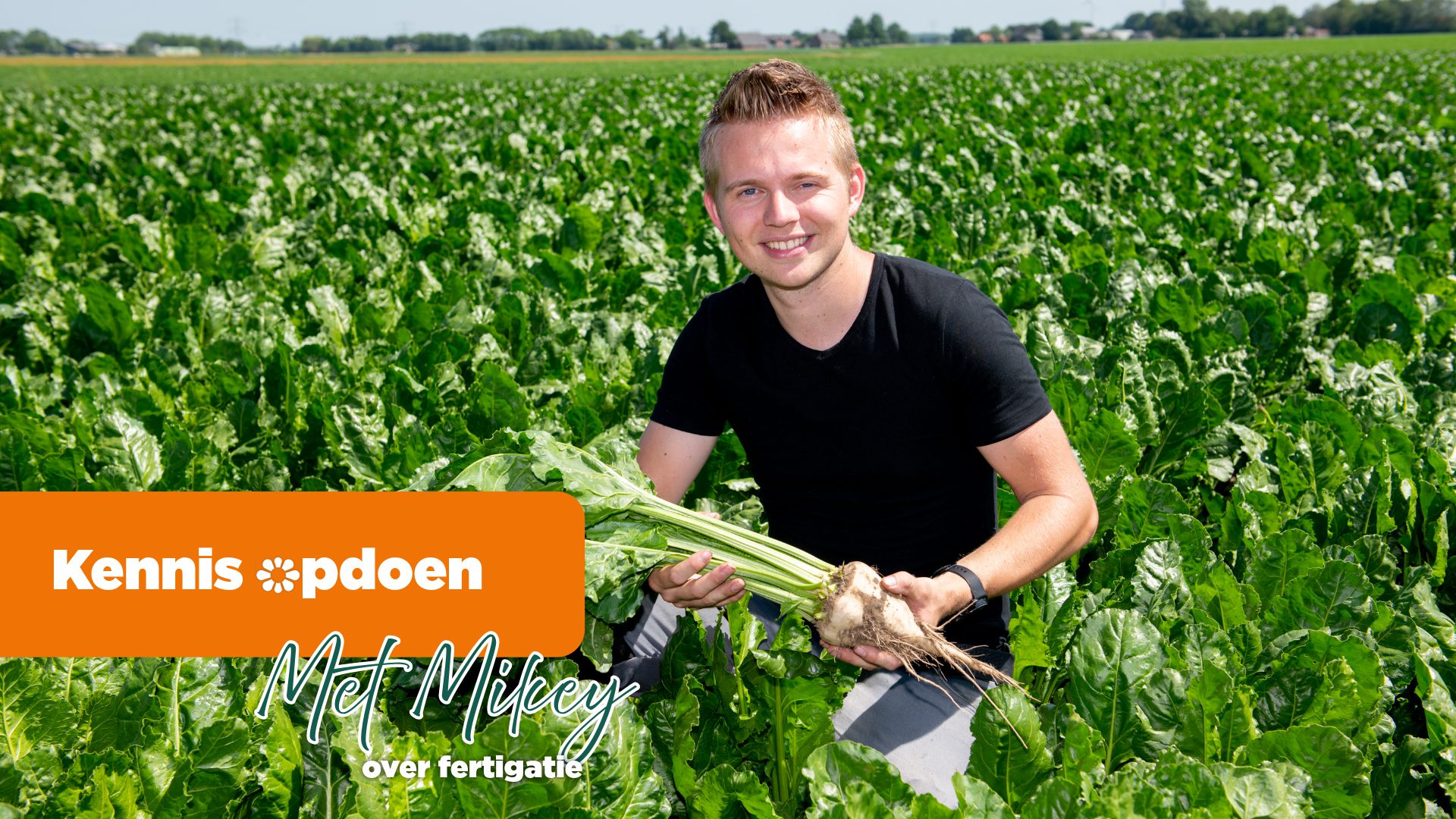 Afbeelding Adviseur Akkerbouw