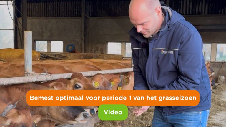 Afbeelding Optimale voeding voor de productieperiode van het grasseizoen