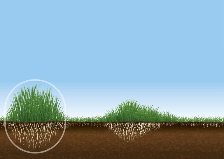 Afbeelding Optimale voeding voor de productieperiode van het grasseizoen