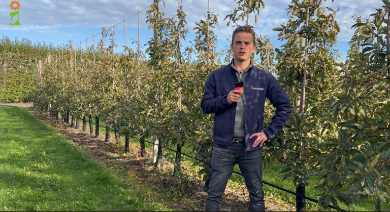 Afbeelding Rondje boomgaard | Terugblik op het fruitteeltseizoen 2025