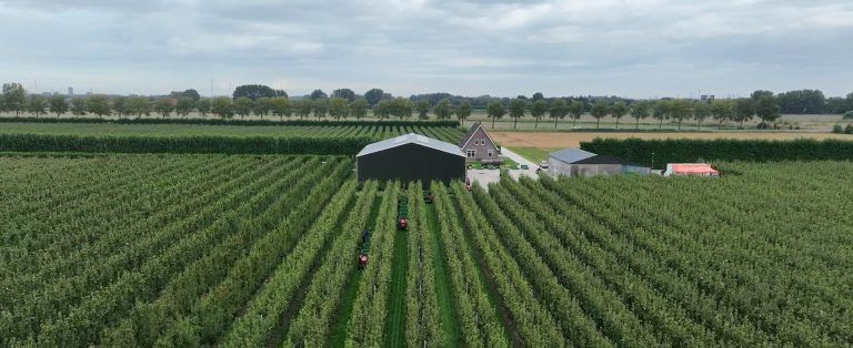 Afbeelding Samen sterk in fruit