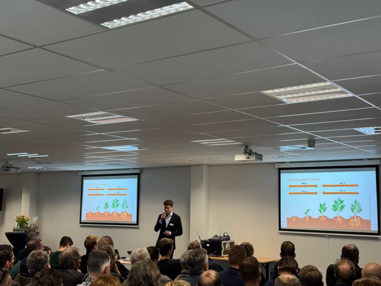 Afbeelding Pootgoed beter in maat en opbrengst met fertigatie