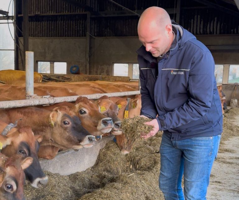 Afbeelding Video | bemest optimaal in periode 1