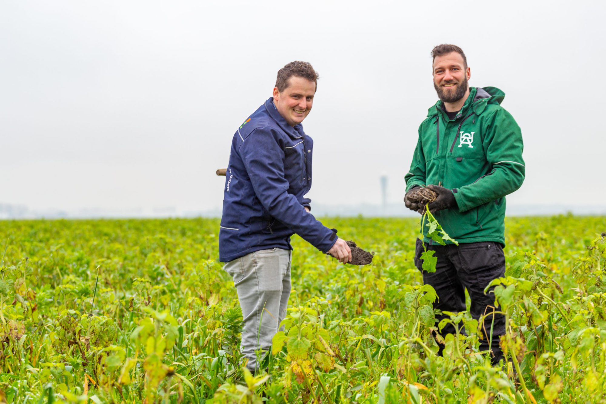 Afbeelding Meer grip op uw teelt met ‘Mijn Groei’