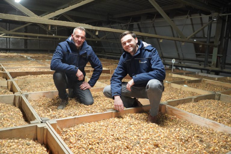 Afbeelding Alles in de strijd om fusarium de baas te blijven