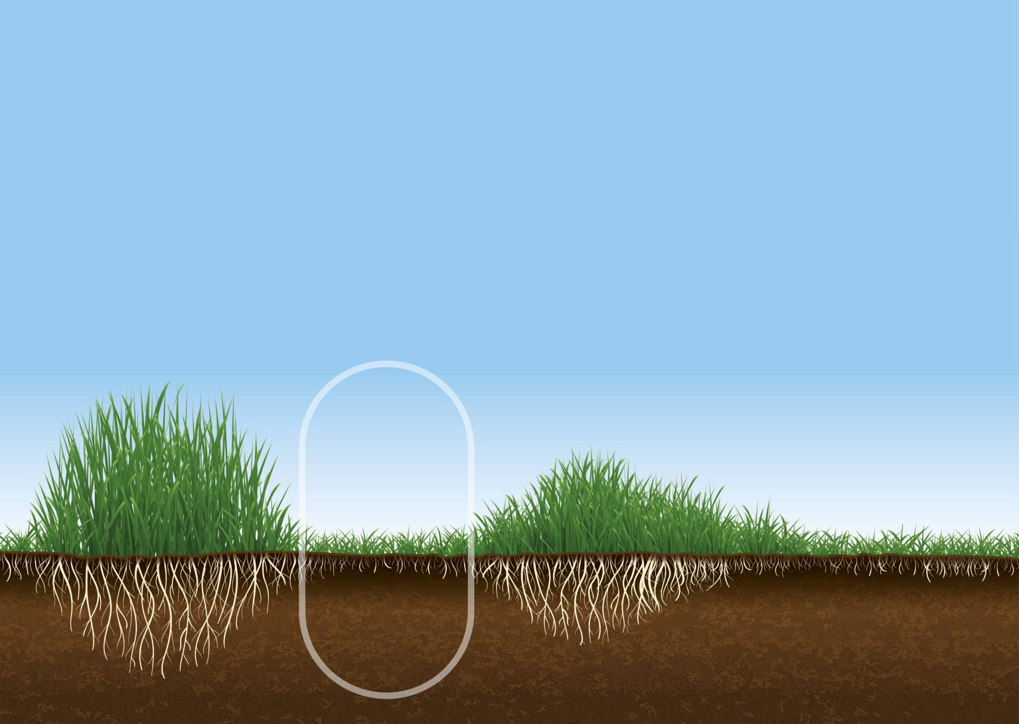 Afbeelding Optimale voeding voor de stressperiode van het gras