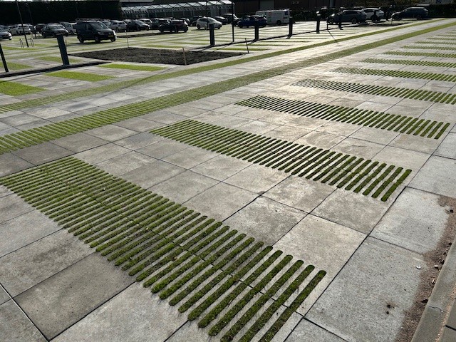 Afbeelding Klimaatadaptief parkeren met Stablegreen