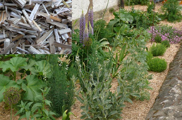 Afbeelding Nieuw product: Miscanthus Mulch als bodembedekker