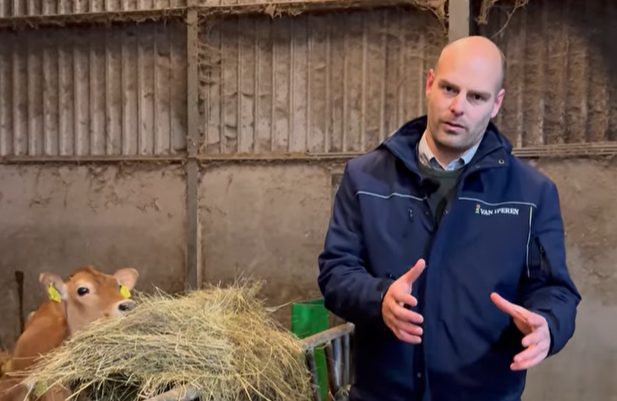 Afbeelding Voed uw gras voor de eiwitproductieperiode