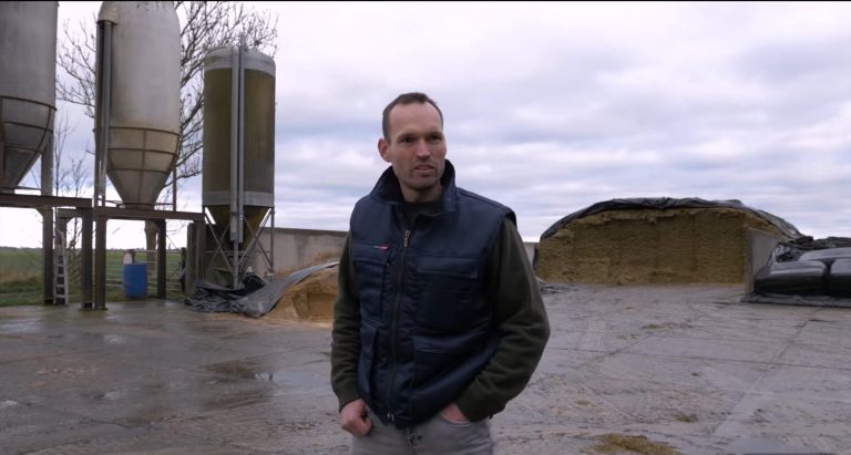 Afbeelding Optimale voeding voor de stressperiode van het gras