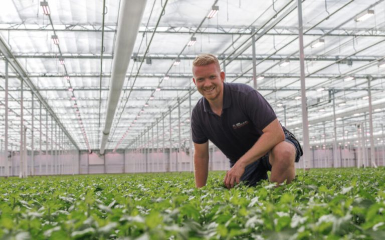 Afbeelding Training en begeleiding tillen scouten naar een hoger niveau