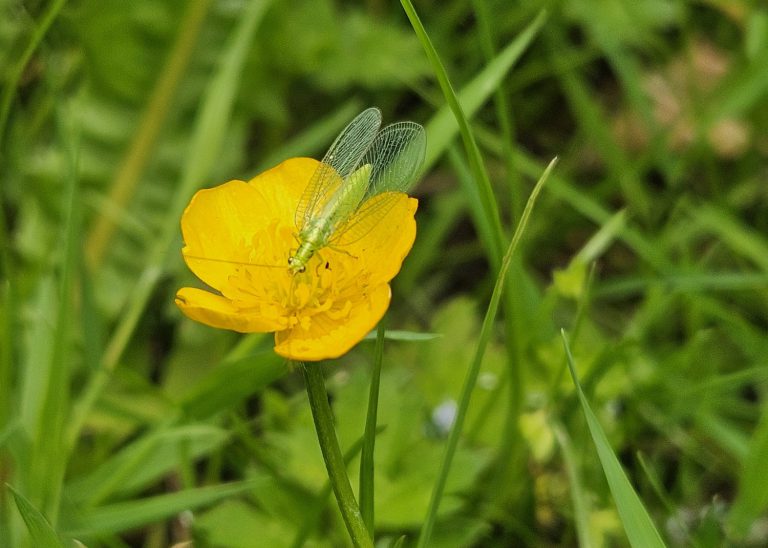 Afbeelding Vraag uw Nuttige(n) Boekje aan
